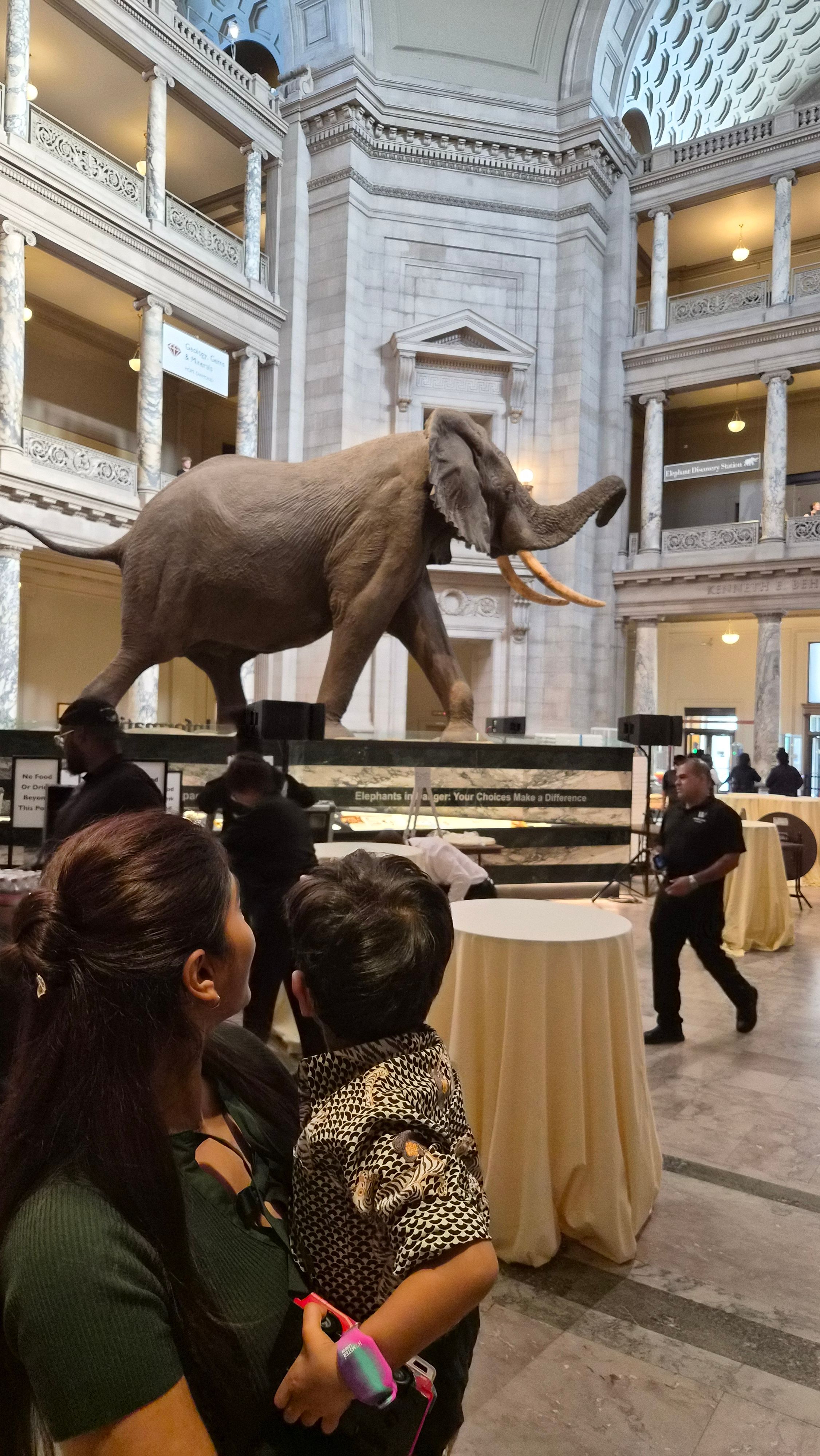 13. Natural History Museum DC 2.jpg