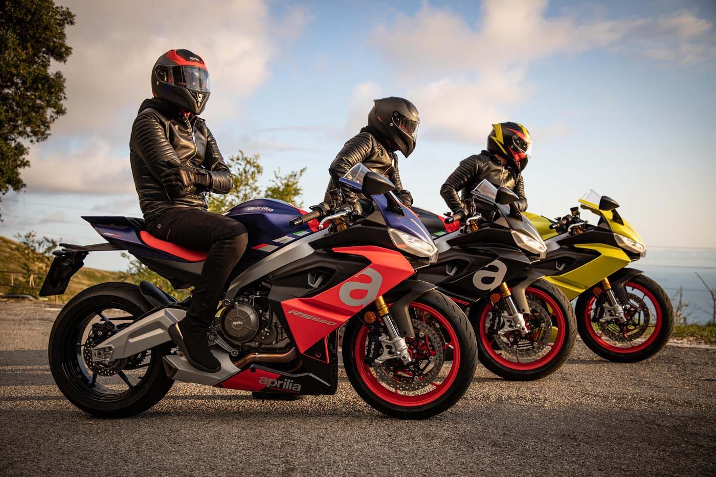 Aprilia RS 660 .jpg