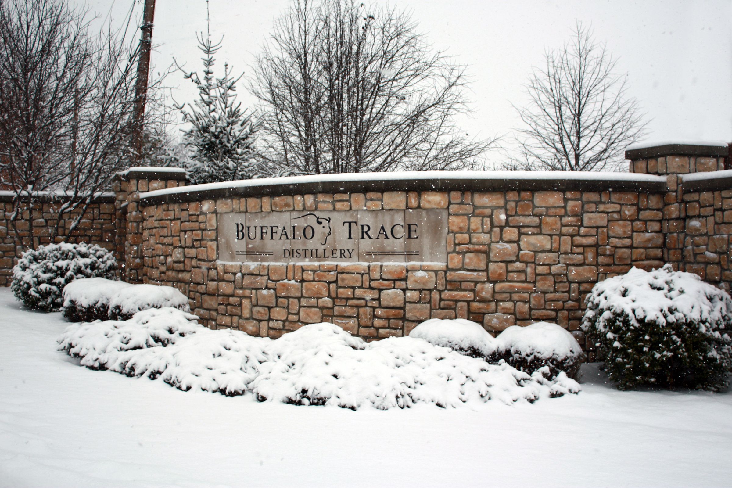 BT-Entrance-Snow-2-BT-Media-Kit.jpg