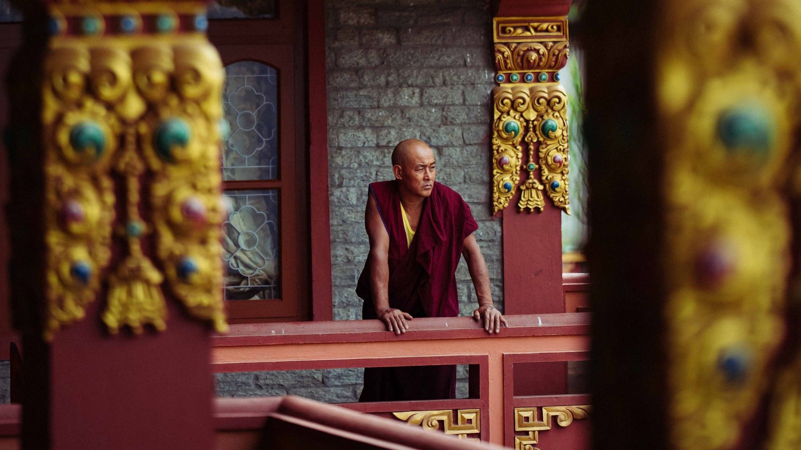 Defender Journey Brahmaputra edition image 5