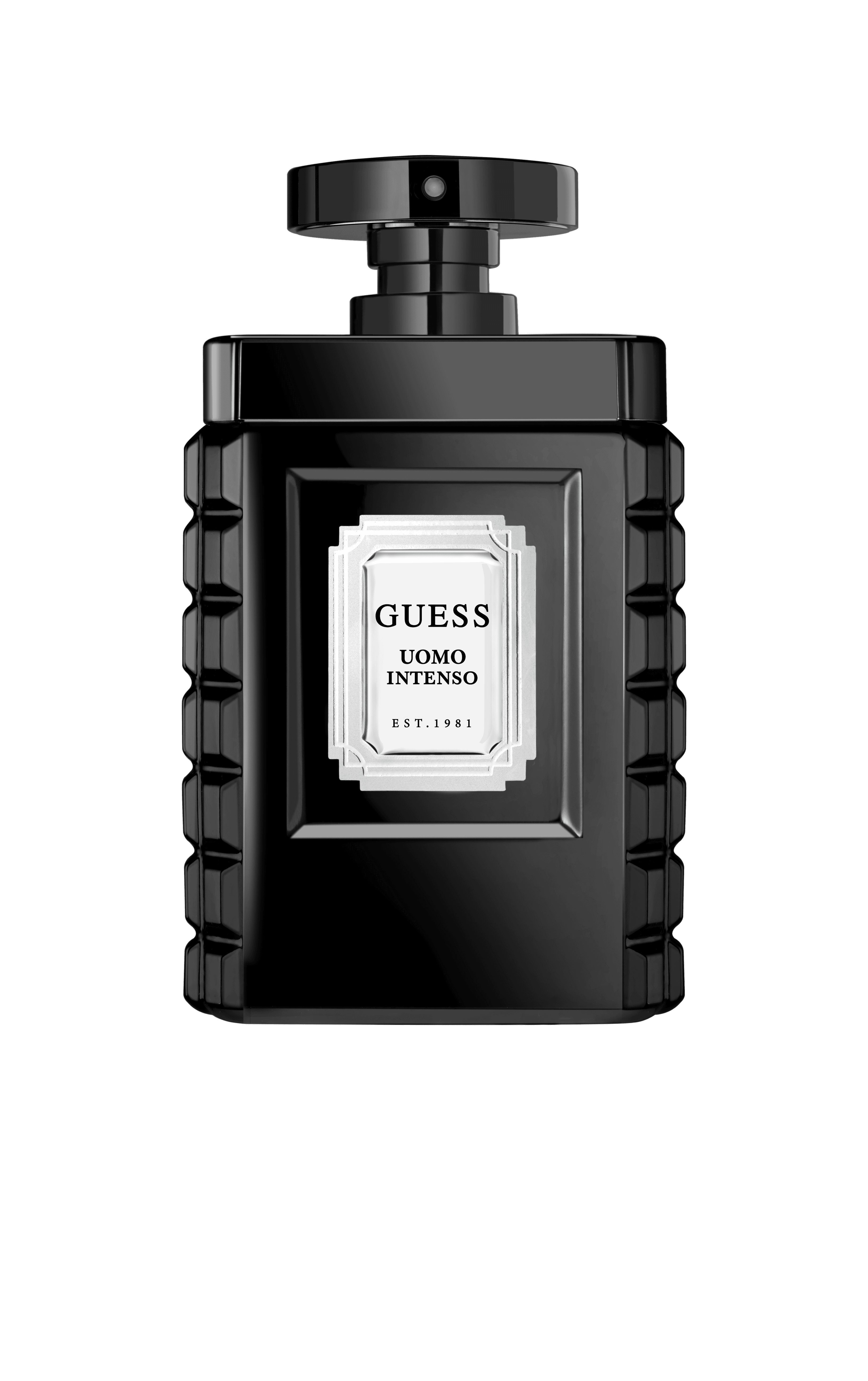 GUESS_UOMO INTENSO.png