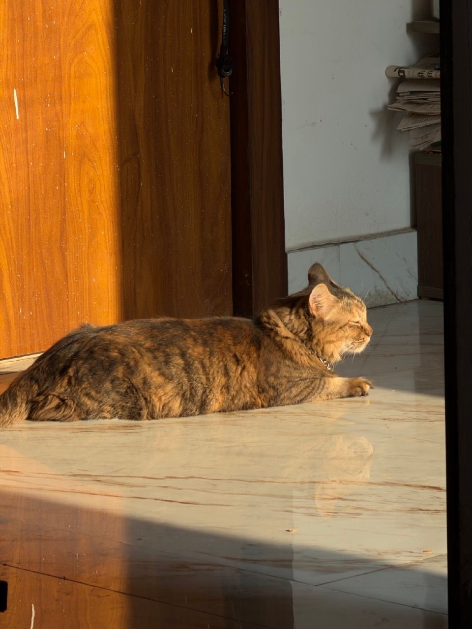 IMG_0377 Large.jpeg