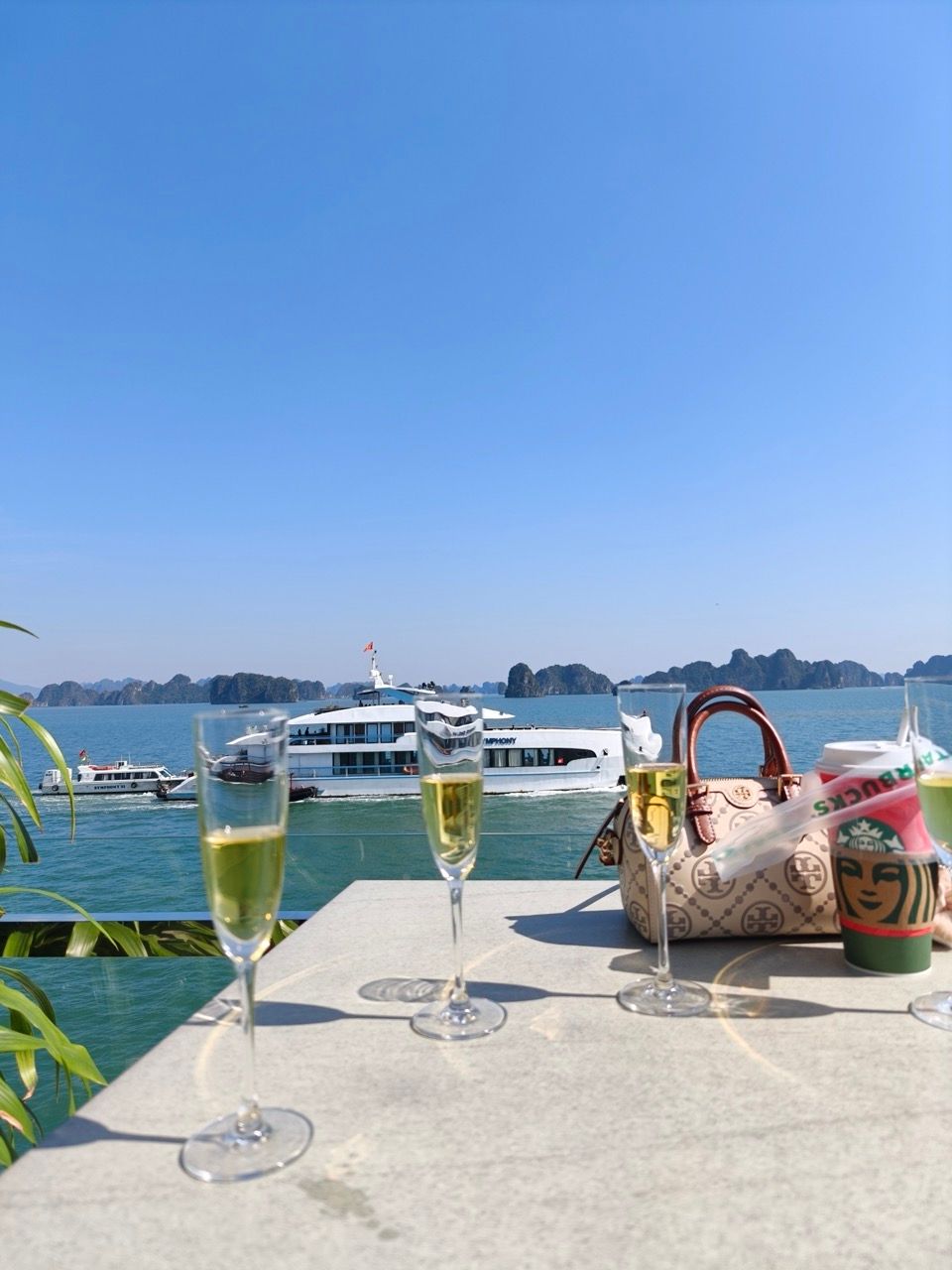 IMG20251125111234 Large.jpeg