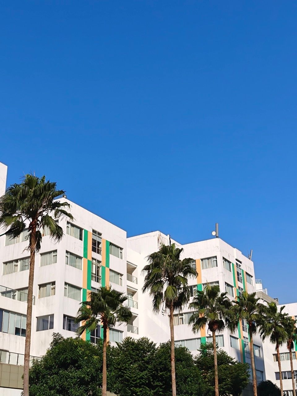 IMG20251127090730 Large.jpeg