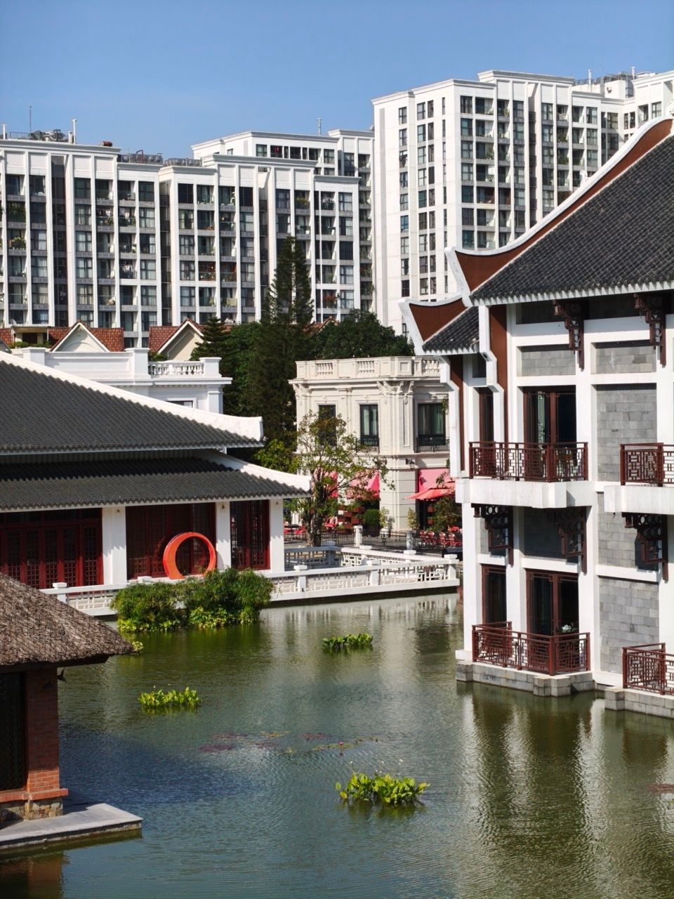 IMG20251127133938 Large.jpeg