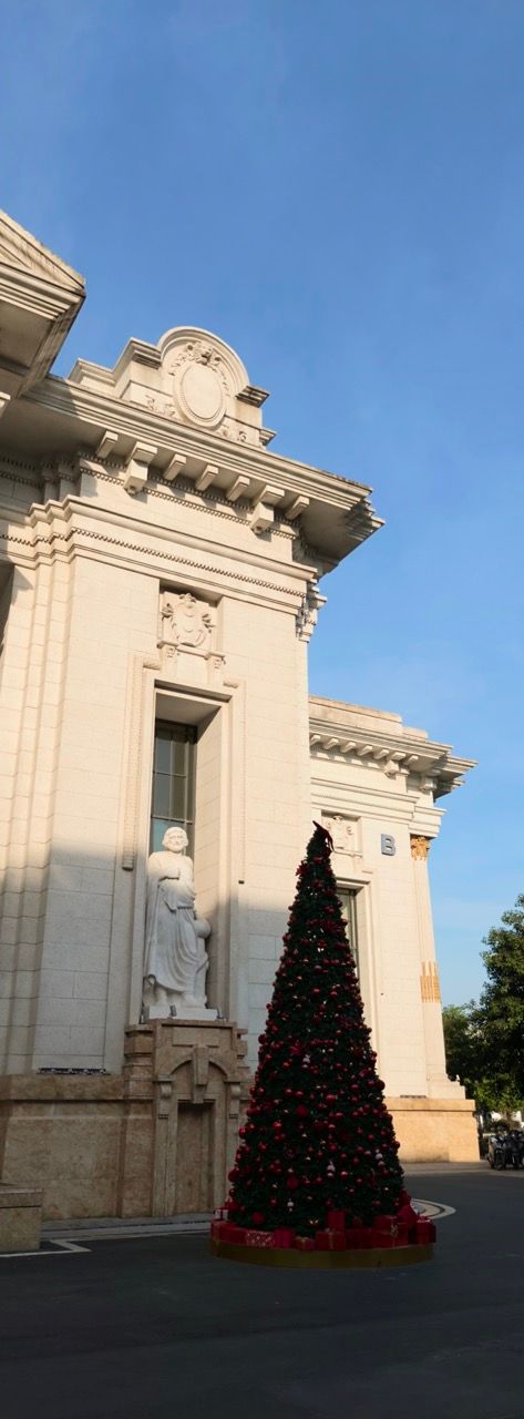 IMG20251127153038 Large.jpeg