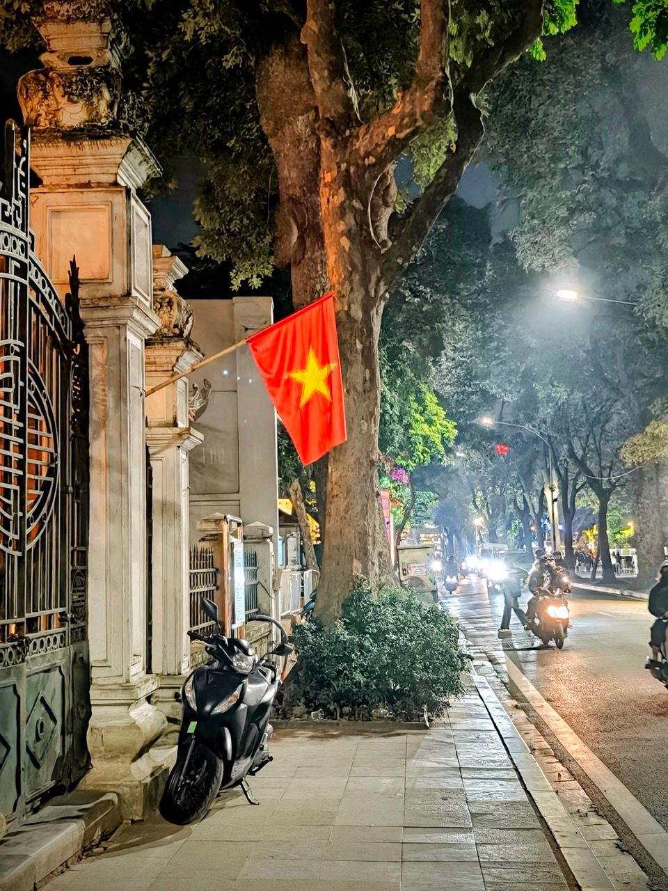 IMG20251127203452~2 Large.jpeg