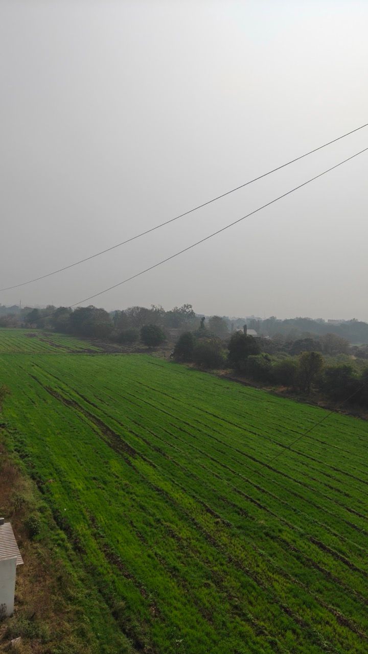 IMG20260201111248_01 Large.jpeg