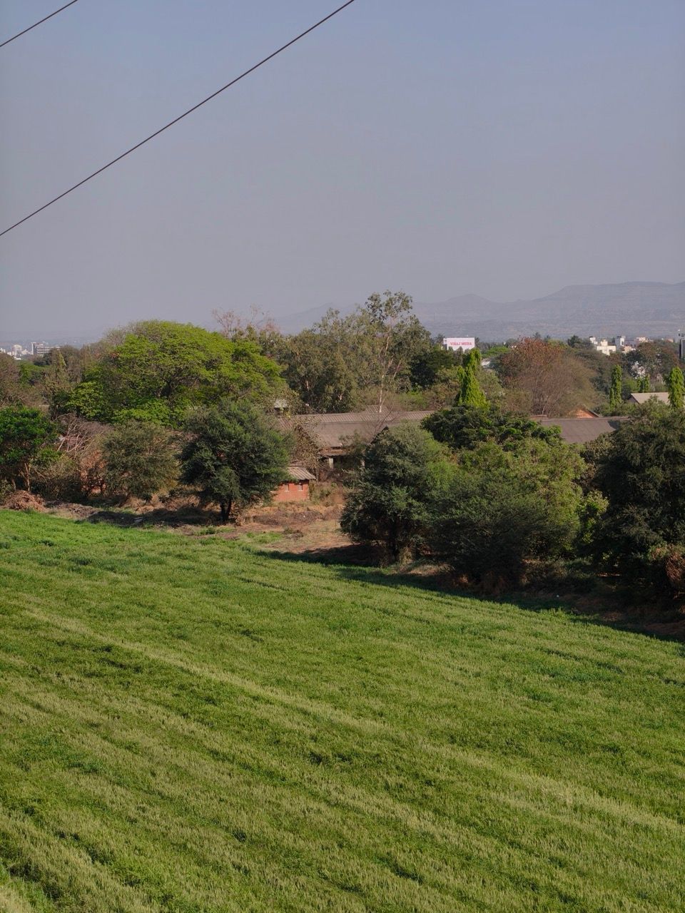 IMG20260309160607 Large.jpeg