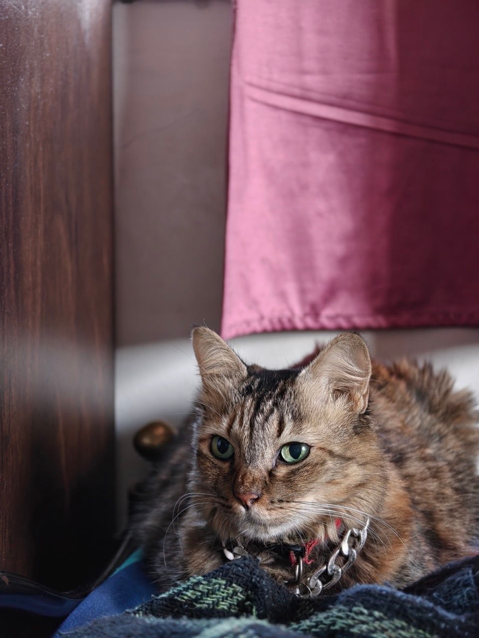 IMG20260620180914 Large.jpeg