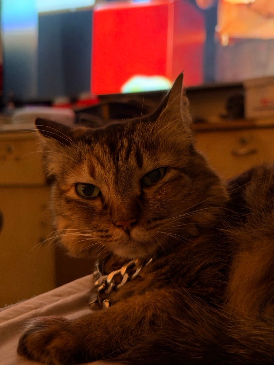 IMG_5696 Large.jpeg