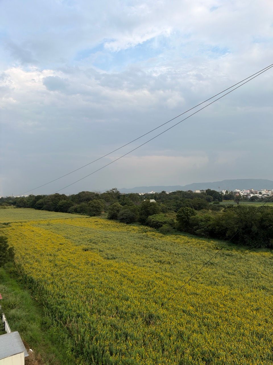 IMG_5767 Large.jpeg