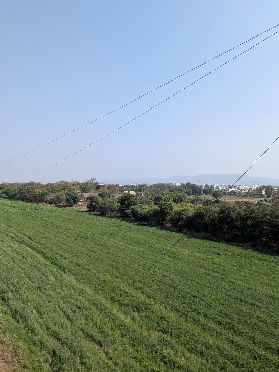 PXL_20260302_094634992 Large.jpeg