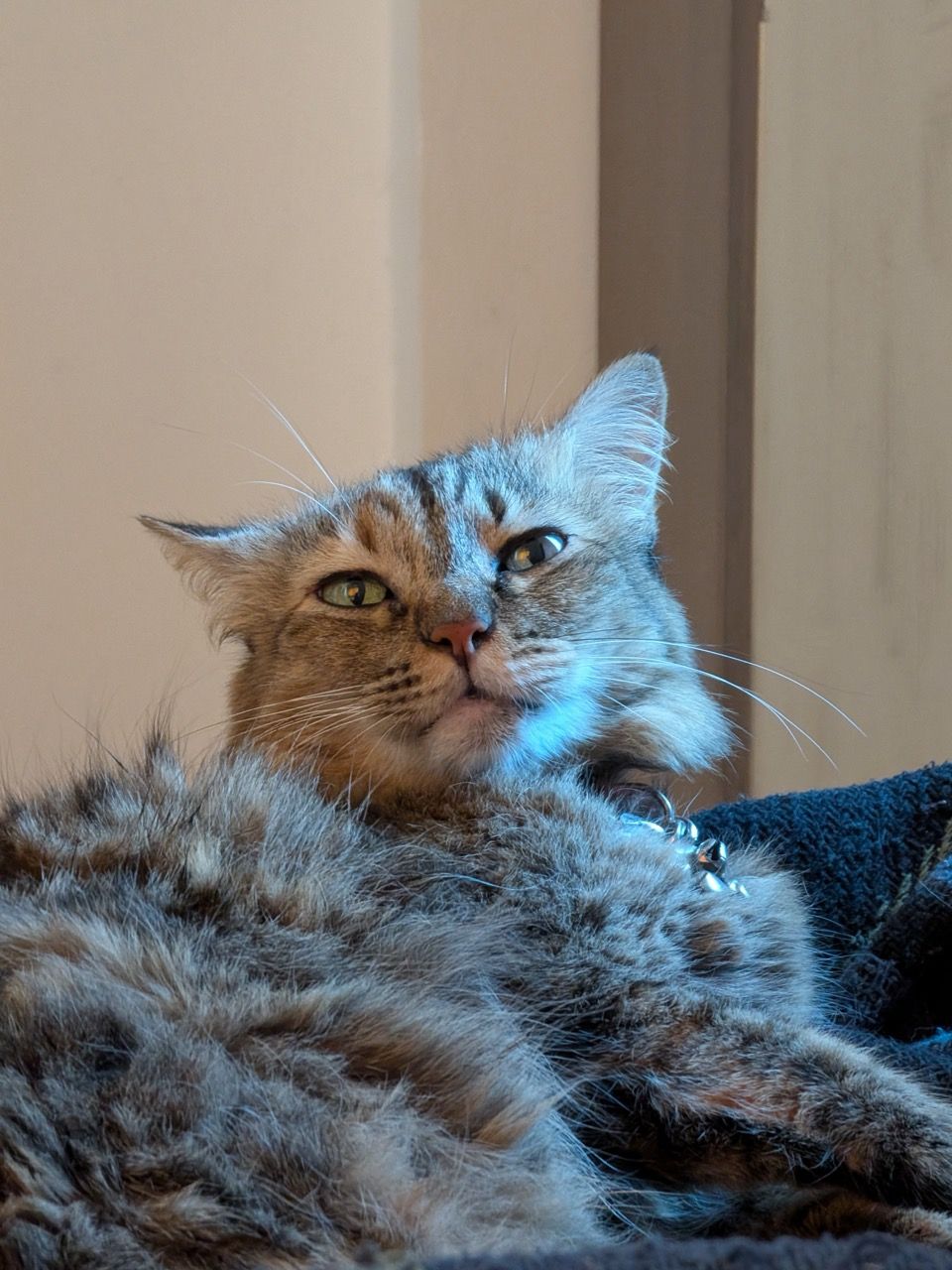 PXL_20260405_093958627 Large.jpeg