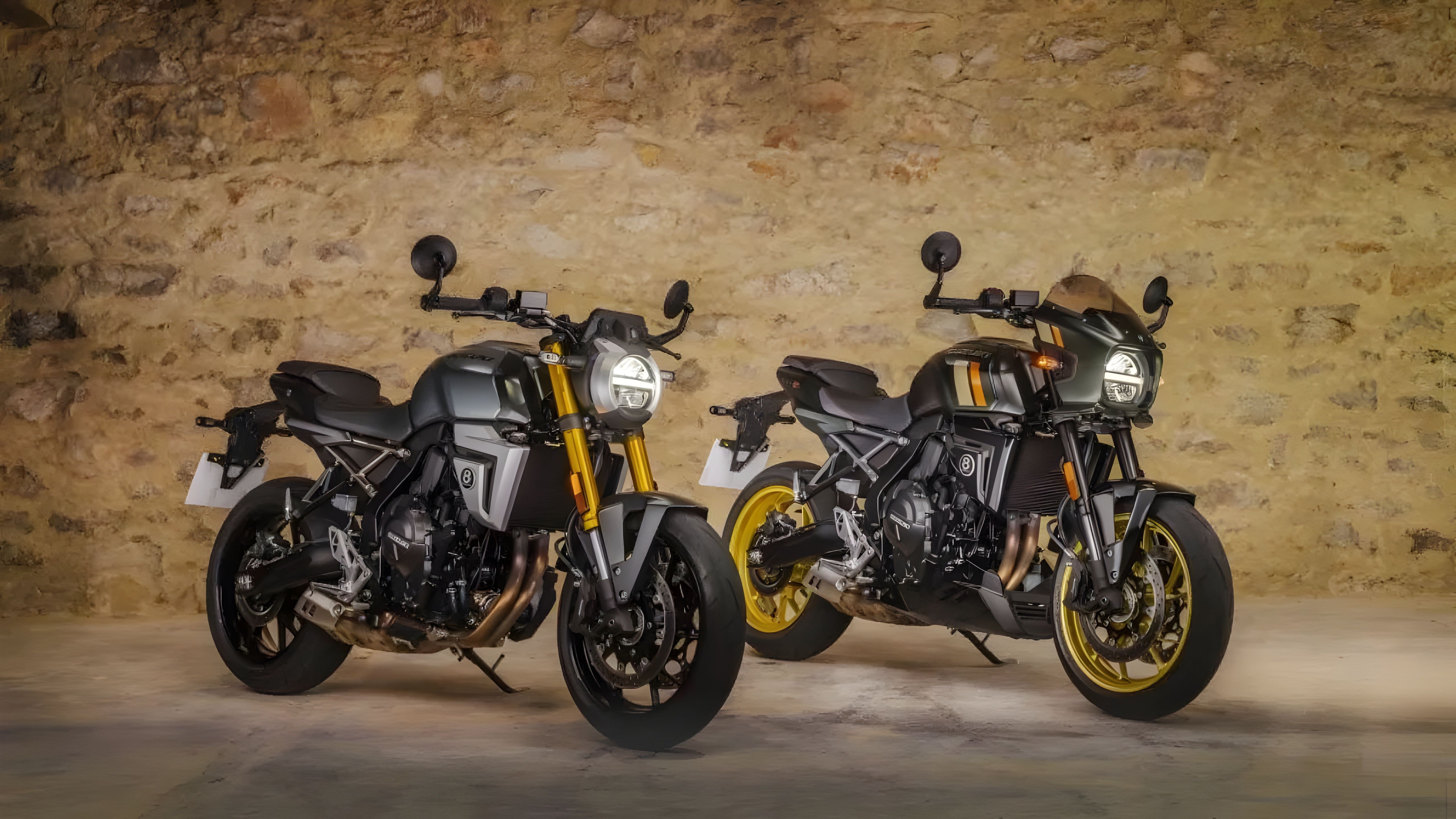 Suzuki GSX-8T and GSX-8TT -Picsart-AiImageEnhancer.jpeg