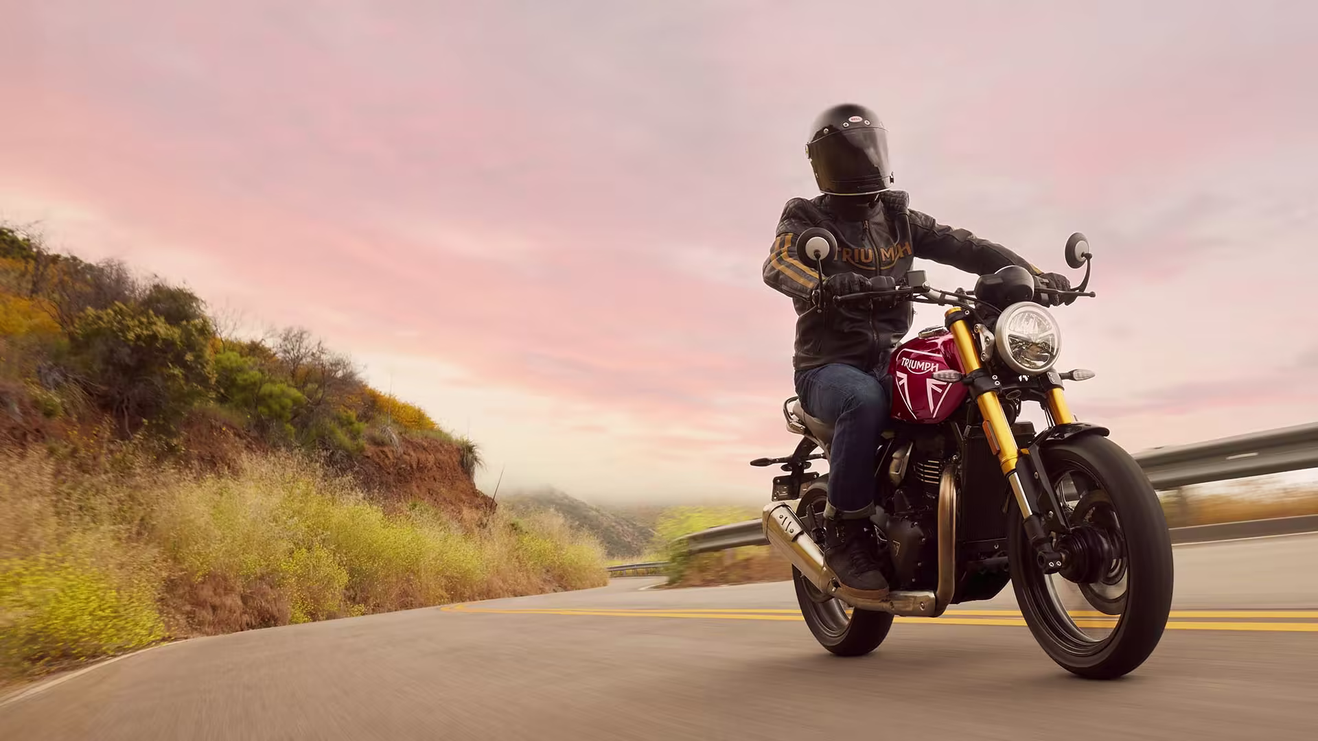 Triumph Speed 400 .avif