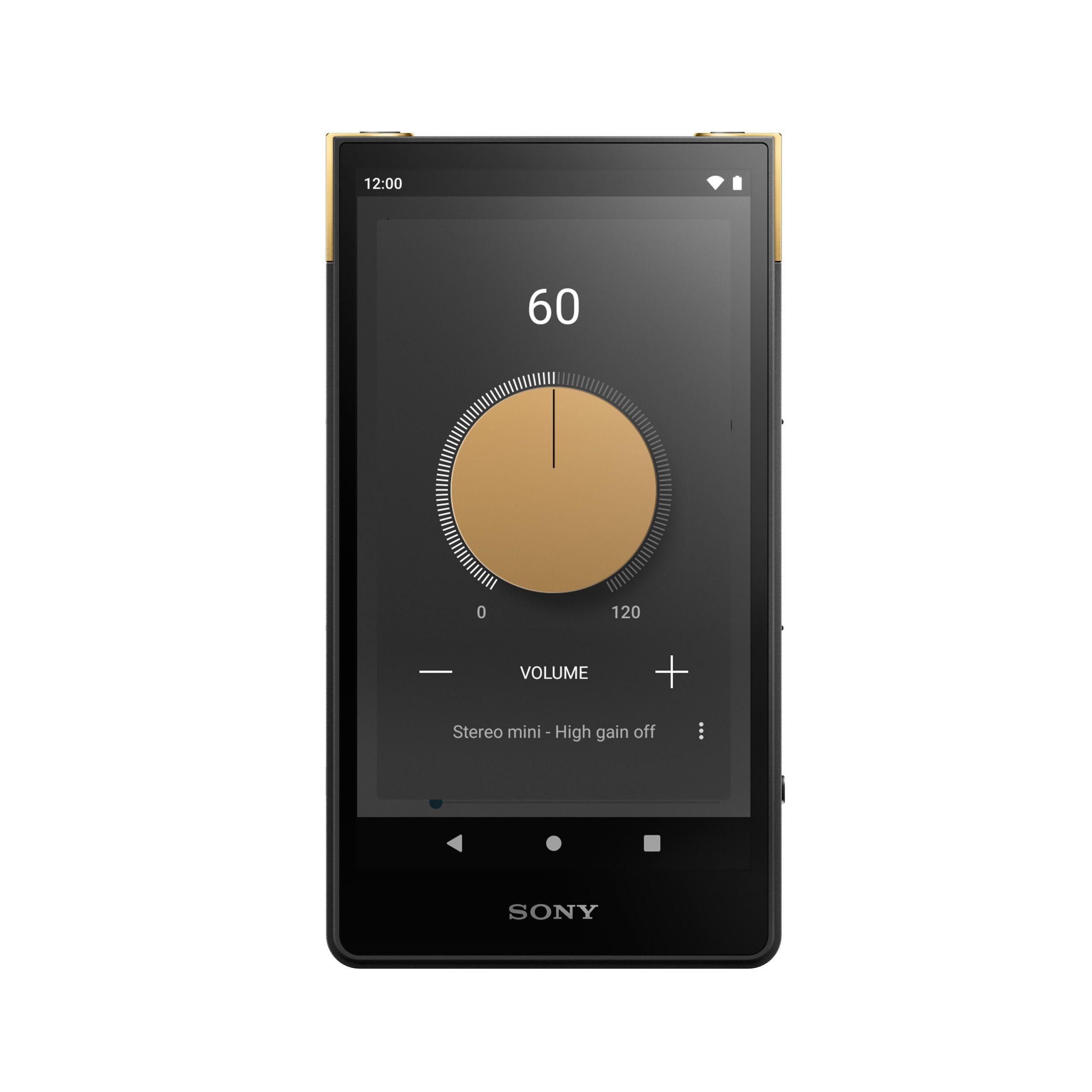 Sony Brings The Walkman Back With The NW-A306