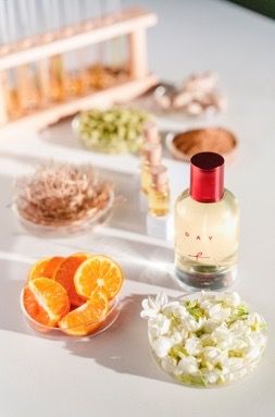 arks jgjg Large.jpeg