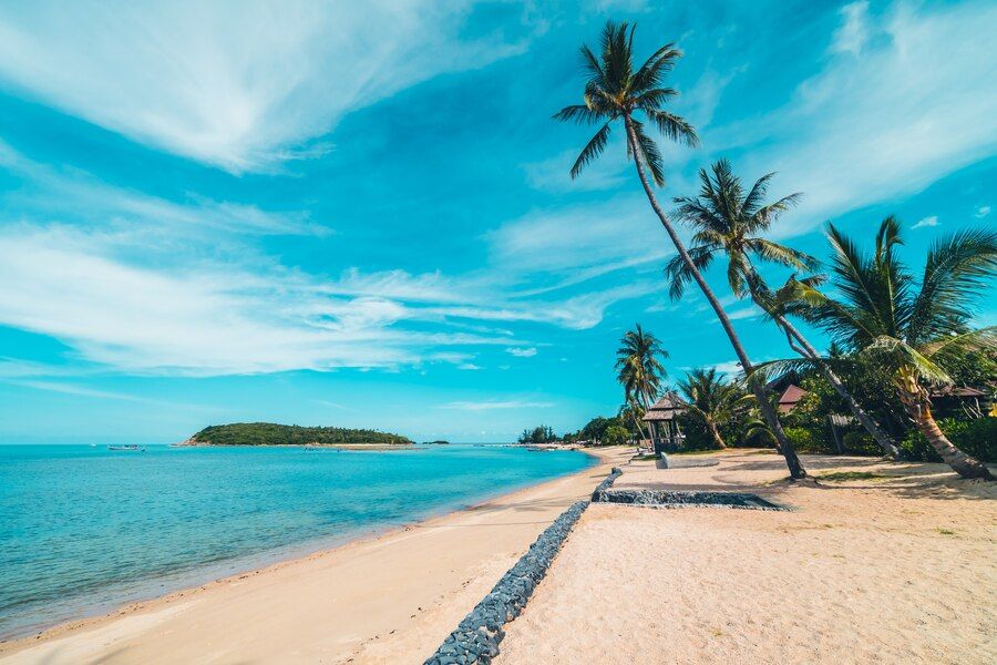 beautiful-tropical-beach-sea-sand-with-coconut-palm-tree-blue-sky-white-cloud_74190-7479.jpeg