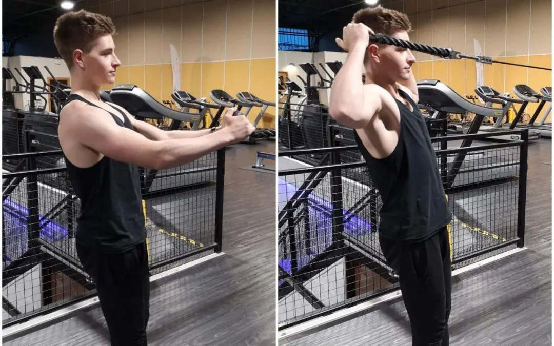 face pulls for back