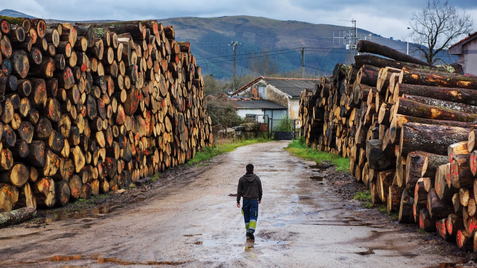 tevasa cooperage oakwood